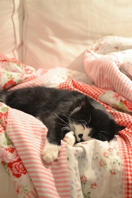 #bestebilder #sprüche #facebook #ultimate #bloggers #legally #protect # mal das, mal dies: Frohe Weihnachten mit wenigen Worten